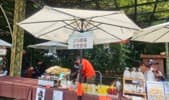 桌巾（多色 / 餐桌・圓桌・轉盤）