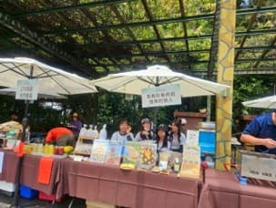陽傘（7 呎米白） 實際案例